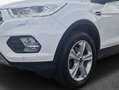 Ford Kuga 1.5 EcoBoost 2x4 Titanium Navi PDC Wi-Pa Weiß - thumbnail 5