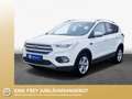 Ford Kuga 1.5 EcoBoost 2x4 Titanium Navi PDC Wi-Pa Bianco - thumbnail 1