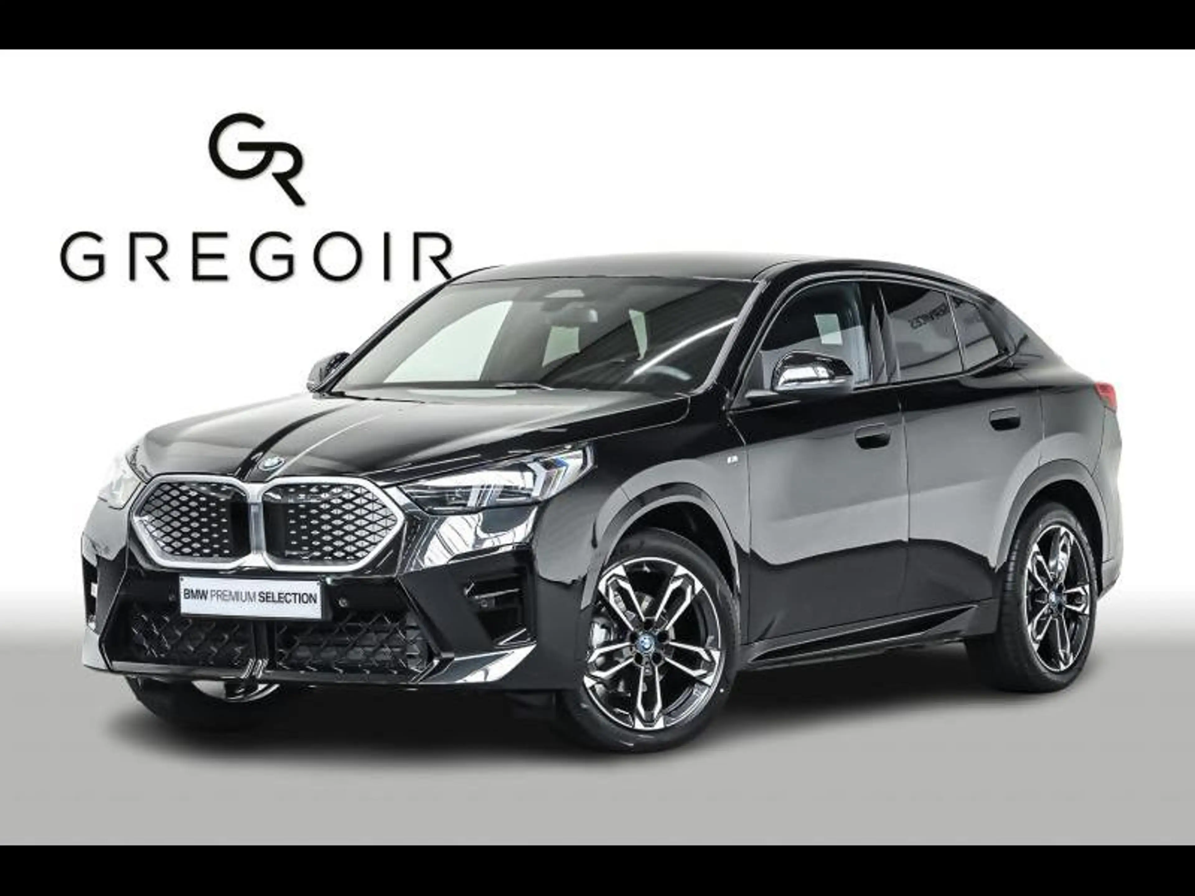 BMW iX2 eDrive20 - Msport|Cam|Comfort|Zetelvw