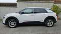 Citroen C4 Cactus C4 Cactus BlueHDi 100 S&S Weiß - thumbnail 2