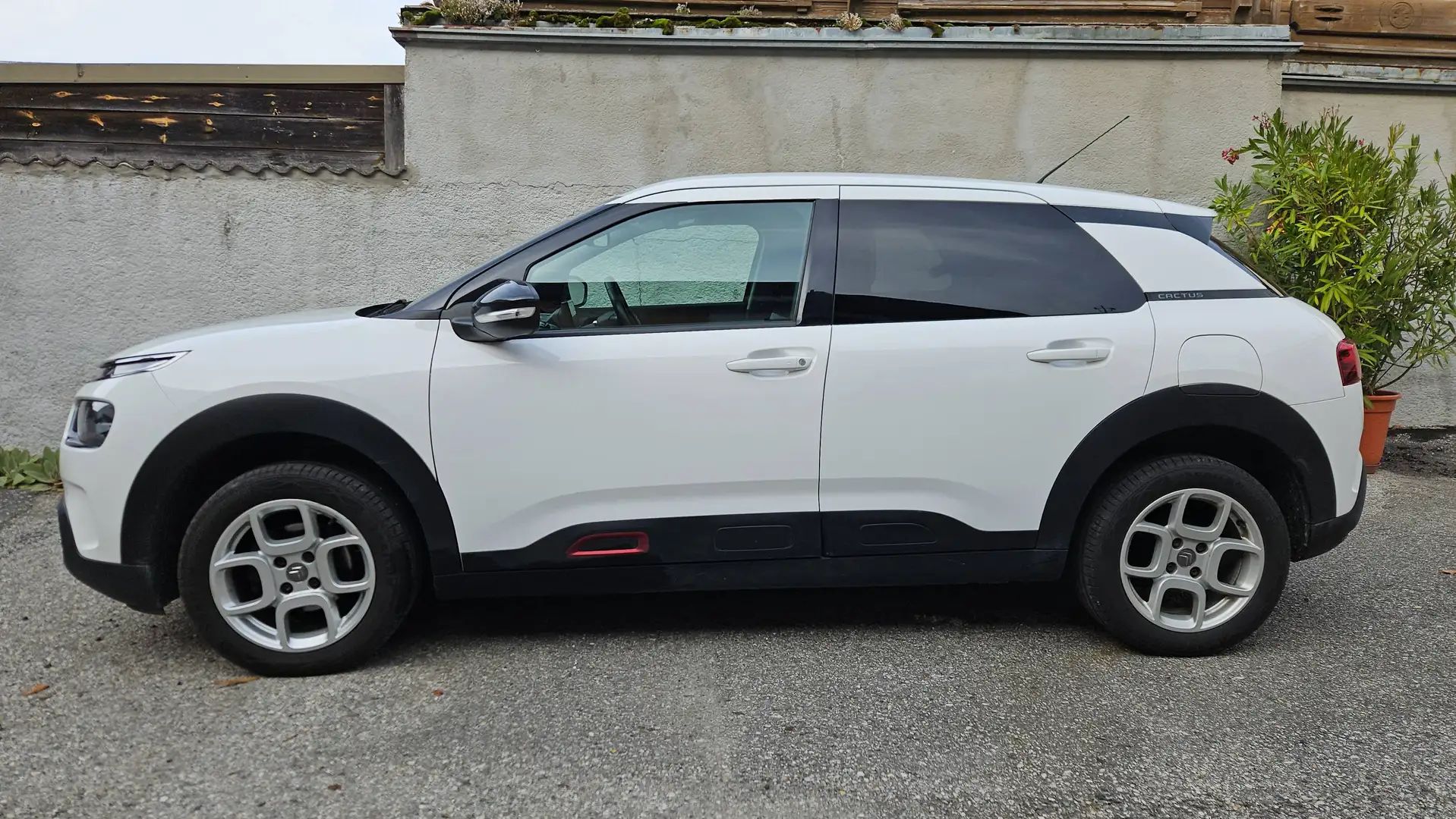 Citroen C4 Cactus C4 Cactus BlueHDi 100 S&S Weiß - 2