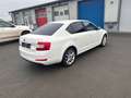 Skoda Octavia Lim. Elegance*BI-XENON*SHZ*MFL* Blanc - thumbnail 6