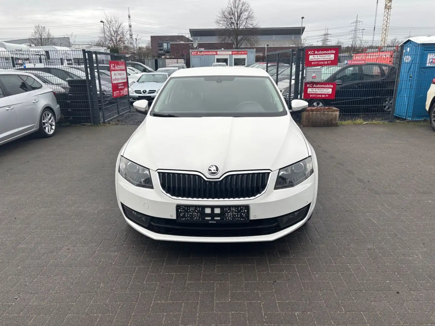 Skoda Octavia Lim. Elegance*BI-XENON*SHZ*MFL* Blanc - 2