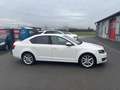Skoda Octavia Lim. Elegance*BI-XENON*SHZ*MFL* Blanc - thumbnail 4