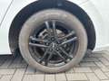 Skoda Octavia 1.5 TSI Sportline Sportsitze - Klima - Navi - DAB Blanc - thumbnail 7