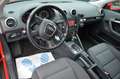 Audi A3 1,6*AUTOMAT*Bi-Xenon*Klima*Licht Paket*Tempo* Rouge - thumbnail 11