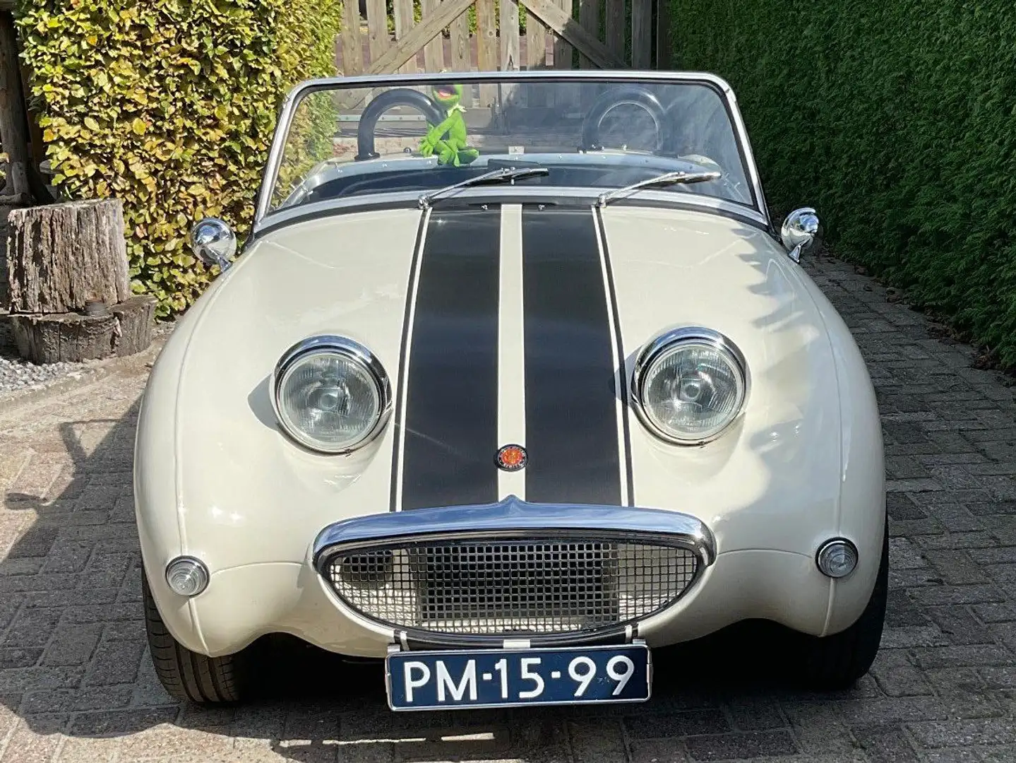 Austin-Healey Sprite Mk1 frogeye Weiß - 1
