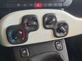 Fiat Panda Pandina FireFly Hybrid 70 Matrix Schwarz - thumbnail 13