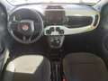Fiat Panda Pandina FireFly Hybrid 70 Matrix Schwarz - thumbnail 9