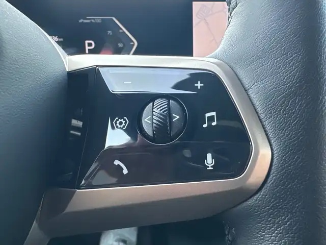 BMW Ix view 19