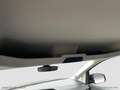 Ford Tourneo Connect 1.5 ECOBOOST 114 CV Titanium Grigio - thumbnail 12