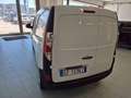 Renault Kangoo Blue dCi 95CV Express Furgone Ice Plus Bianco - thumbnail 9