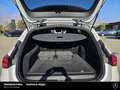 Mercedes-Benz C 300 C 300 T de 4M Avantgarde Sitzklima MASSAGE NP88 Weiß - thumbnail 19