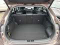 Kia XCeed Spirit PHEV 1.6 NAVI,SITZHZG,CARPLAY,KAMERA,SMART- Braun - thumbnail 12