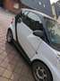 smart forTwo smart forTwo Weiß - thumbnail 5