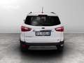Ford EcoSport 1.0 ecoboost Plus 100cv Bianco - thumbnail 5