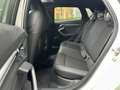 Audi A3 A3 SPB TDI 110 kW S tronic S line edition *TETTO, Bianco - thumbnail 37