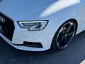 Audi A3 1.6 TDI | 19" Rotor | Tief | LED-Xenon | mtl. ab Weiß - thumbnail 2