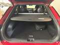 Kia EV6 77,4kWh 168kW RWD (L.Range) GT Line Rojo - thumbnail 8