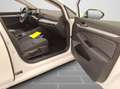 Volkswagen Golf VIII 1,5 l eTSI DSG Life PDC/LED/Sitzheizun Weiß - thumbnail 5