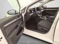 Volkswagen Golf VIII 1,5 l eTSI DSG Life PDC/LED/Sitzheizun Weiß - thumbnail 3