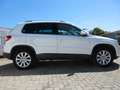 Volkswagen Tiguan Sport & Style 4 x 4*Scheckheft*Unfallfrei White - thumbnail 4