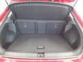 Volkswagen T-Roc 1.5 TSI DSG Move Navi R-Kam LED PDC SHZ Rot - thumbnail 8