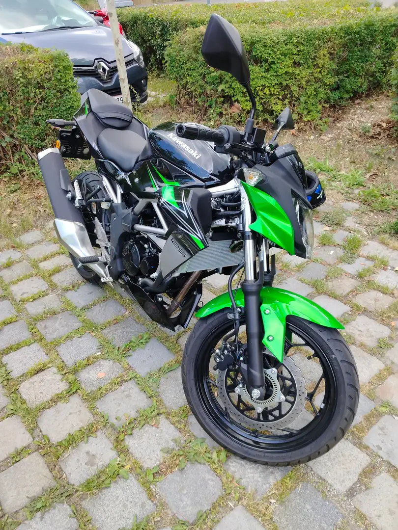 Kawasaki Z 125 Grün - 2