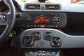 Fiat Panda Panda III 2021 1.2 Lounge *NO VINCOLI FIANZIARI* Bleu - thumbnail 12