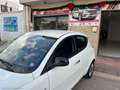 Lancia Ypsilon 1.2 69 CV 5p. GPL Ecochic Gold Blanc - thumbnail 13