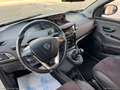 Lancia Ypsilon 1.2 69 CV 5p. GPL Ecochic Gold Blanc - thumbnail 15