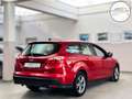 Ford Focus Turnier Champions *NEU ZAHNRIEMEN+SERVICE* Rouge - thumbnail 5