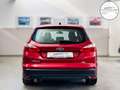 Ford Focus Turnier Champions *NEU ZAHNRIEMEN+SERVICE* Rouge - thumbnail 6