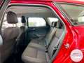 Ford Focus Turnier Champions *NEU ZAHNRIEMEN+SERVICE* Rouge - thumbnail 13