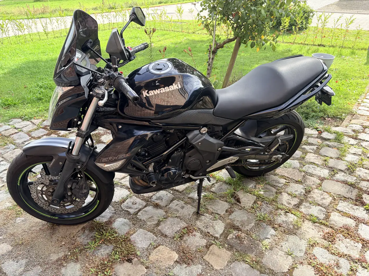 Kawasaki ER