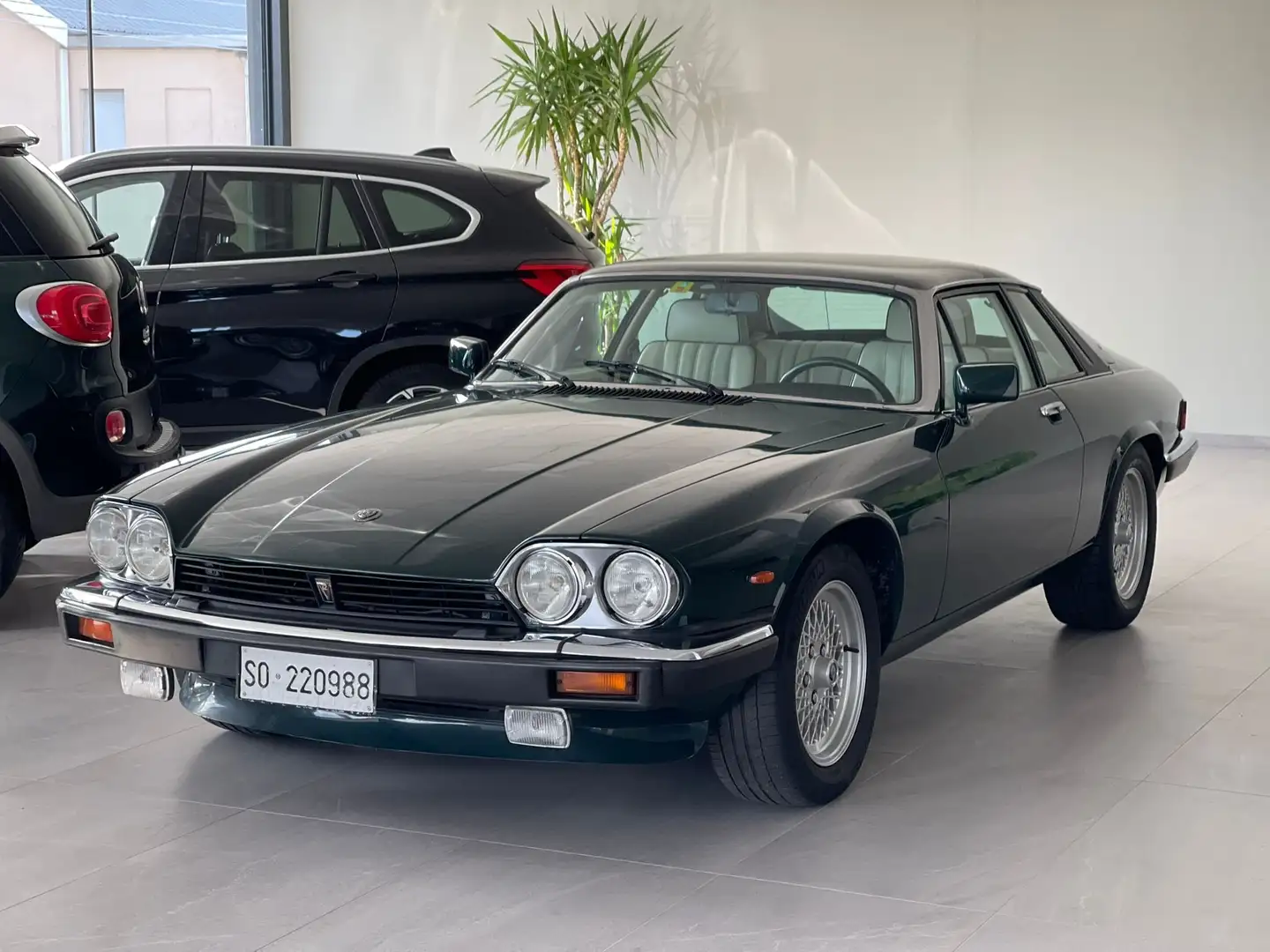 Jaguar XJS V12 CTG M1 Green - 1