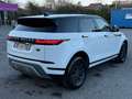 Land Rover Range Rover Evoque 2.0 TD4 MHEV 4WD D165 / CAMERA / AUTO / CARPLAY Blanc - thumbnail 5