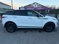 Land Rover Range Rover Evoque 2.0 TD4 MHEV 4WD D165 / CAMERA / AUTO / CARPLAY Blanc - thumbnail 4