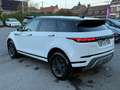 Land Rover Range Rover Evoque 2.0 TD4 MHEV 4WD D165 / CAMERA / AUTO / CARPLAY Blanc - thumbnail 7