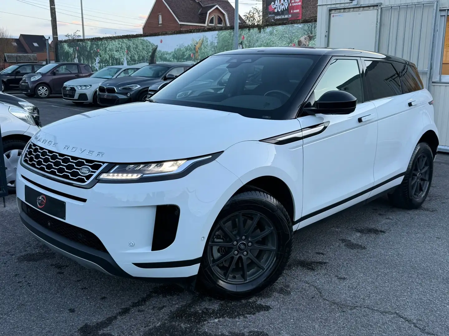 Land Rover Range Rover Evoque 2.0 TD4 MHEV 4WD D165 / CAMERA / AUTO / CARPLAY Blanc - 1