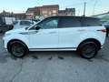 Land Rover Range Rover Evoque 2.0 TD4 MHEV 4WD D165 / CAMERA / AUTO / CARPLAY Blanc - thumbnail 8