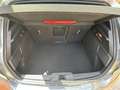 Ford Focus st line x 1.5 120cv - thumbnail 8