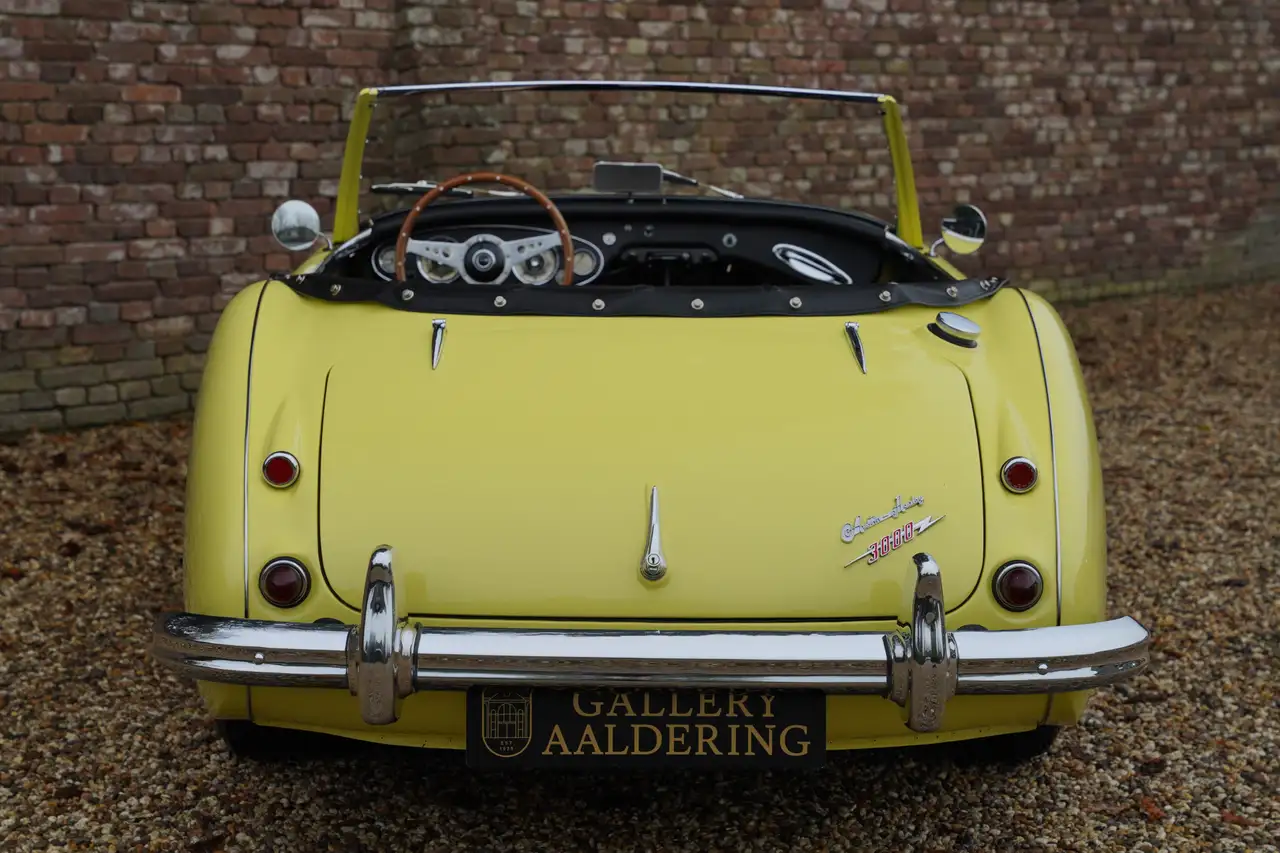 Austin-Healey 3000 MK1 "Comprehensive body-off restoration" Body-off, foto 6