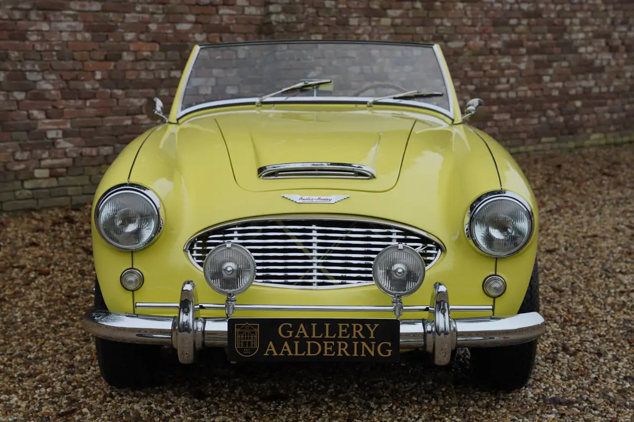 Austin-Healey 3000 MK1 "Comprehensive body-off restoration" Body-off, foto 5