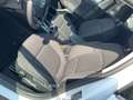 Ford Focus Traveller Titanium Edition Aut. Weiß - thumbnail 14