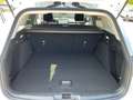 Ford Focus Traveller Titanium Edition Aut. Weiß - thumbnail 16
