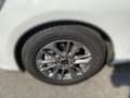Ford Focus Traveller Titanium Edition Aut. Weiß - thumbnail 10