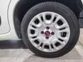 Fiat Panda 1.3 Mjt Lounge Blanco - thumbnail 21