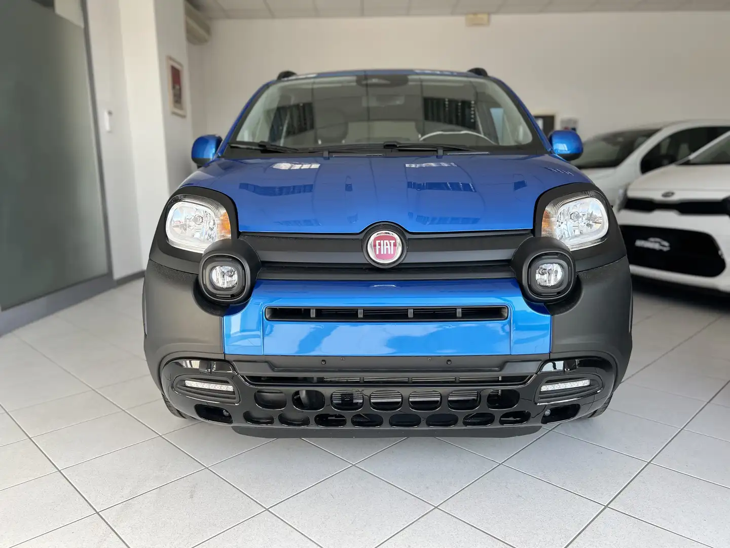 Fiat New Panda 1.0 FireFly S&S Hybrid Pandina KM0 Blu/Azzurro - 2
