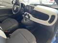 Fiat New Panda 1.0 FireFly S&S Hybrid Pandina KM0 Blu/Azzurro - thumbnail 13